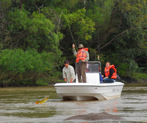 dorado fly fishing